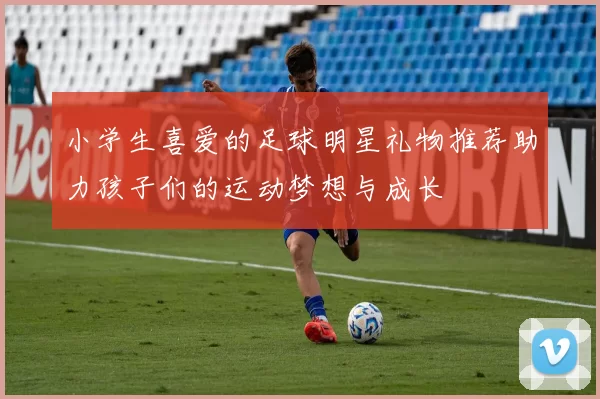 小学生喜爱的足球明星礼物推荐助力孩子们的运动梦想与成长