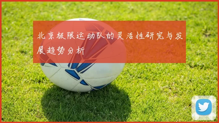 北京极限运动队的灵活性研究与发展趋势分析