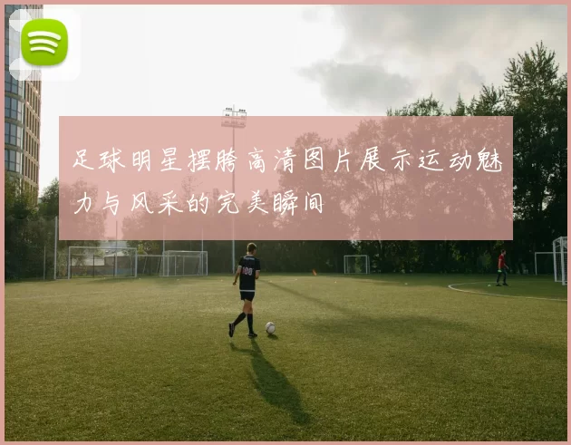 足球明星摆胯高清图片展示运动魅力与风采的完美瞬间