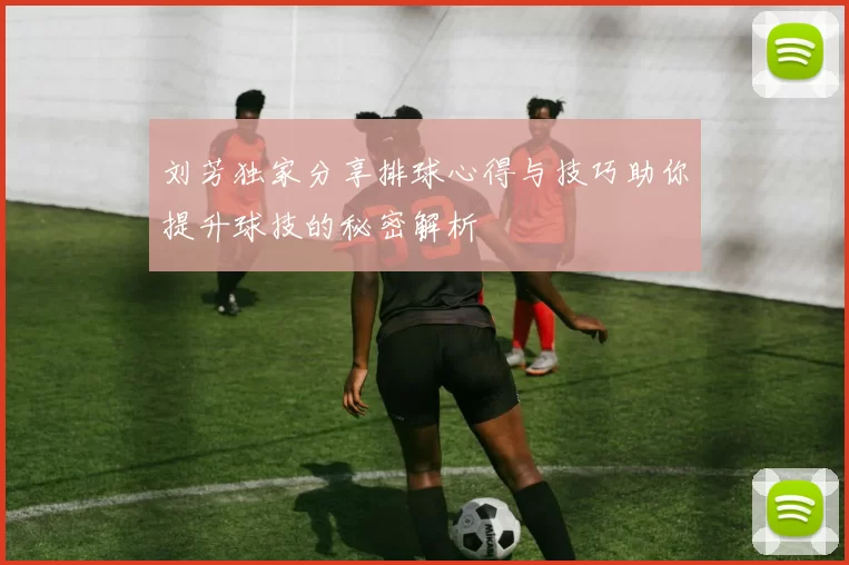 刘芳独家分享排球心得与技巧助你提升球技的秘密解析