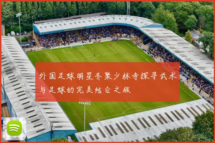 外国足球明星齐聚少林寺探寻武术与足球的完美结合之旅