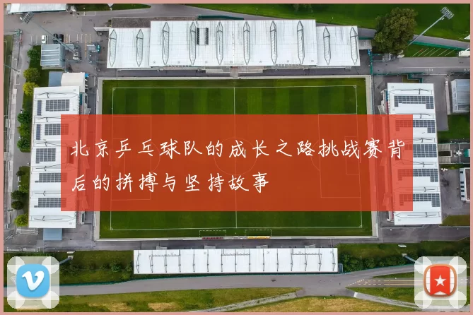 北京乒乓球队的成长之路挑战赛背后的拼搏与坚持故事