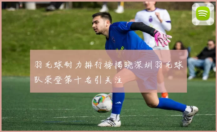 羽毛球耐力排行榜揭晓深圳羽毛球队荣登第十名引关注