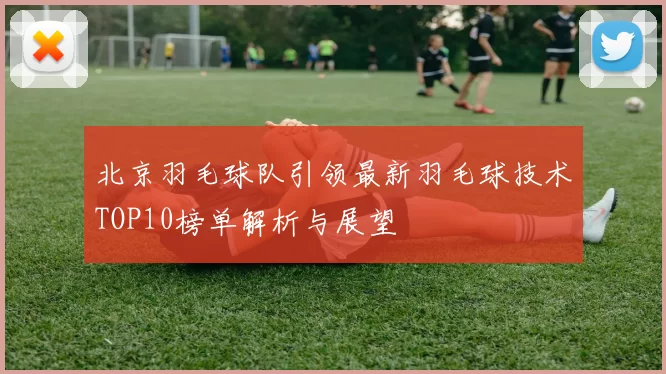 北京羽毛球队引领最新羽毛球技术TOP10榜单解析与展望
