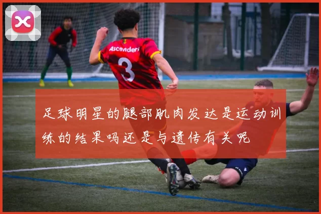 足球明星的腿部肌肉发达是运动训练的结果吗还是与遗传有关呢