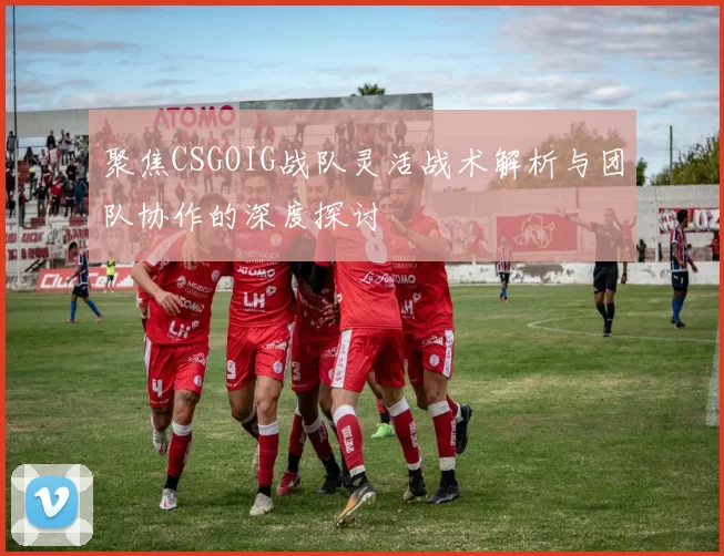 聚焦CSGOIG战队灵活战术解析与团队协作的深度探讨