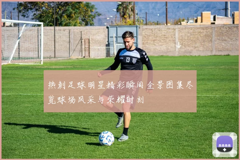 热刺足球明星精彩瞬间全景图集尽览球场风采与荣耀时刻