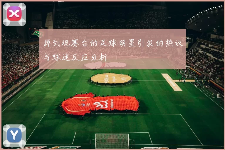掉到观赛台的足球明星引发的热议与球迷反应分析