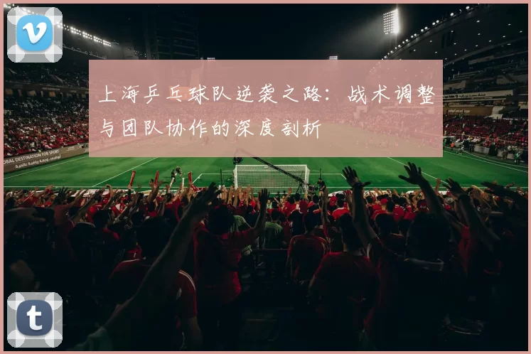 上海乒乓球队逆袭之路：战术调整与团队协作的深度剖析