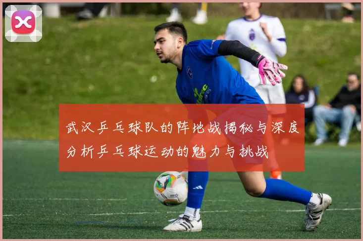 武汉乒乓球队的阵地战揭秘与深度分析乒乓球运动的魅力与挑战