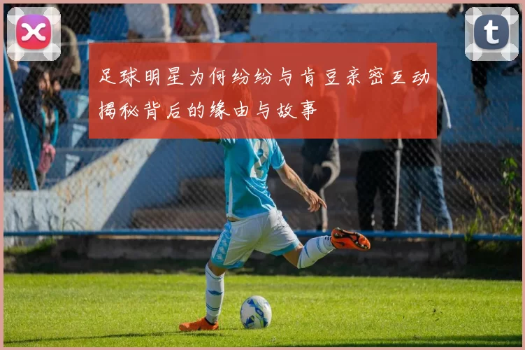 足球明星为何纷纷与肯豆亲密互动揭秘背后的缘由与故事