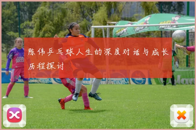 陈伟乒乓球人生的深度对话与成长历程探讨