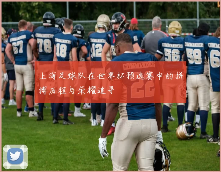 上海足球队在世界杯预选赛中的拼搏历程与荣耀追寻