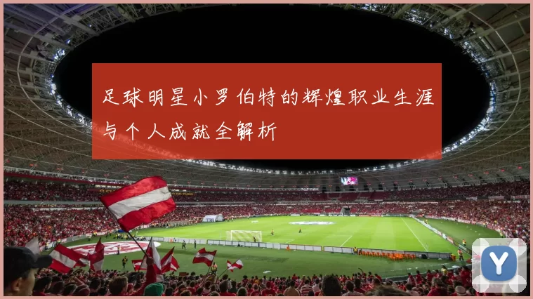 足球明星小罗伯特的辉煌职业生涯与个人成就全解析