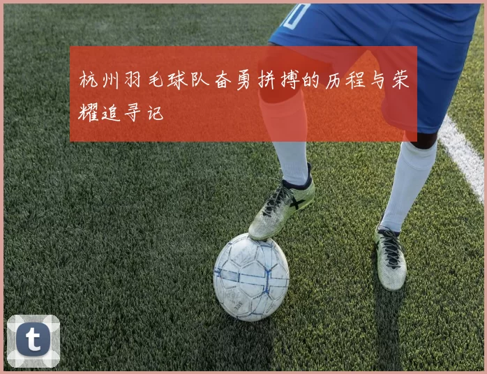 杭州羽毛球队奋勇拼搏的历程与荣耀追寻记