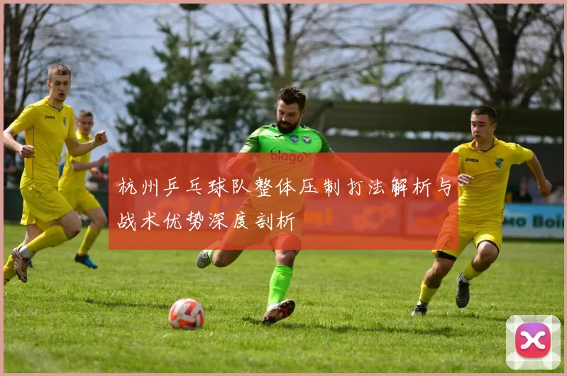 杭州乒乓球队整体压制打法解析与战术优势深度剖析