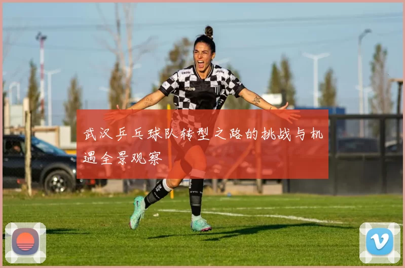 武汉乒乓球队转型之路的挑战与机遇全景观察
