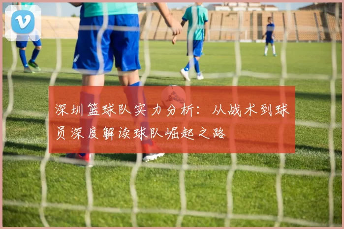 深圳篮球队实力分析：从战术到球员深度解读球队崛起之路