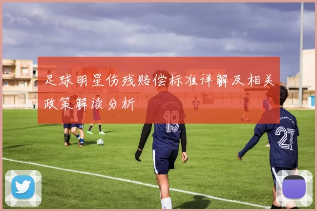 足球明星伤残赔偿标准详解及相关政策解读分析