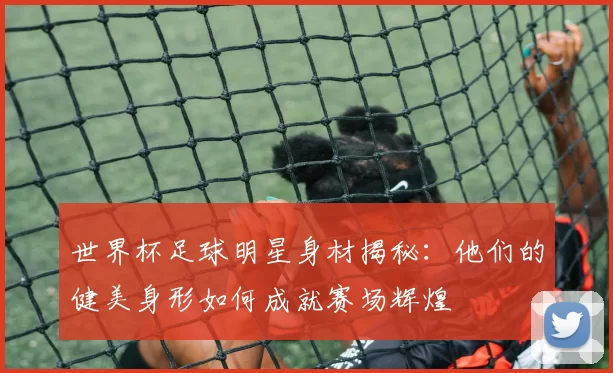 世界杯足球明星身材揭秘：他们的健美身形如何成就赛场辉煌